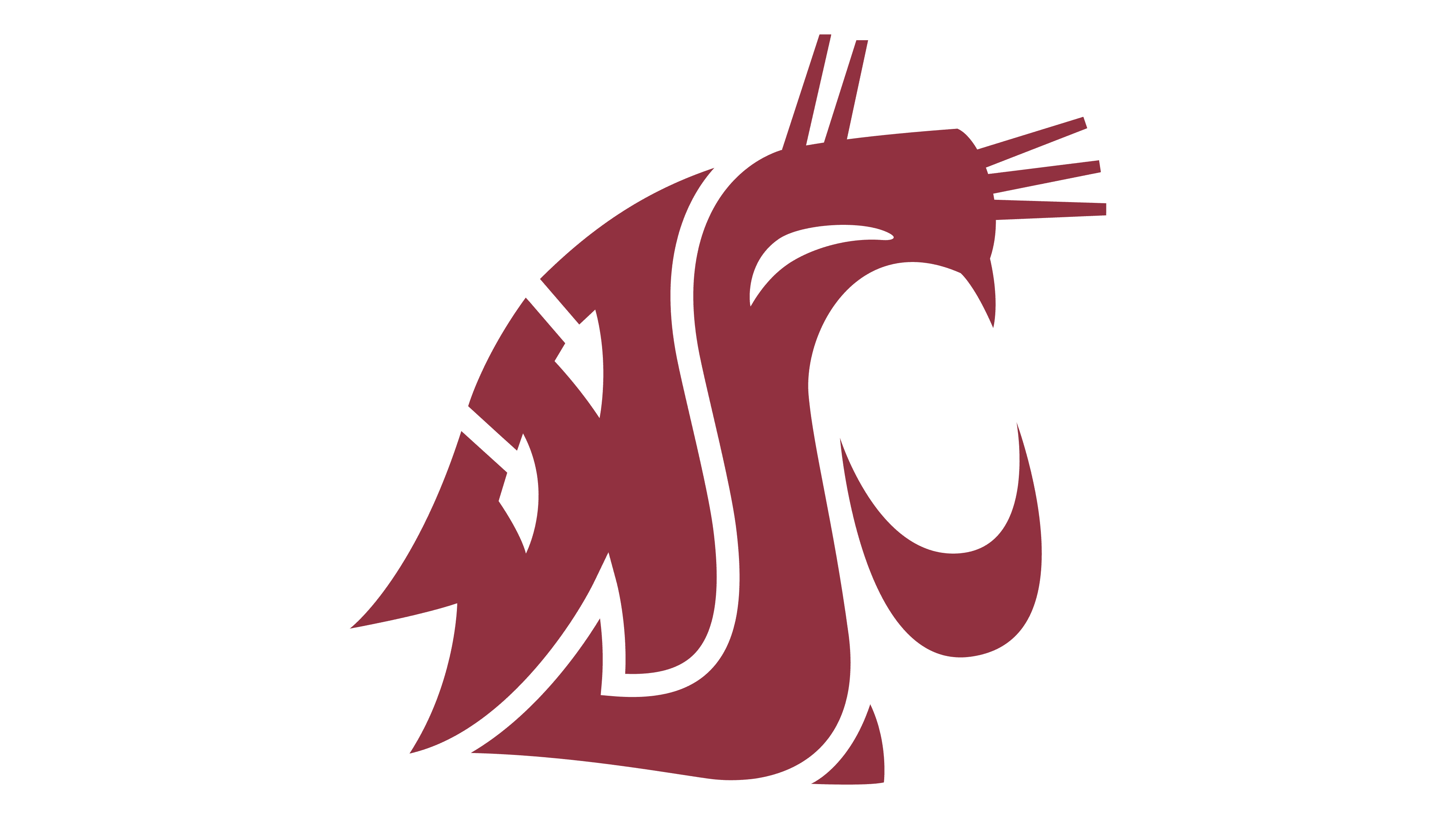 Washington State University
